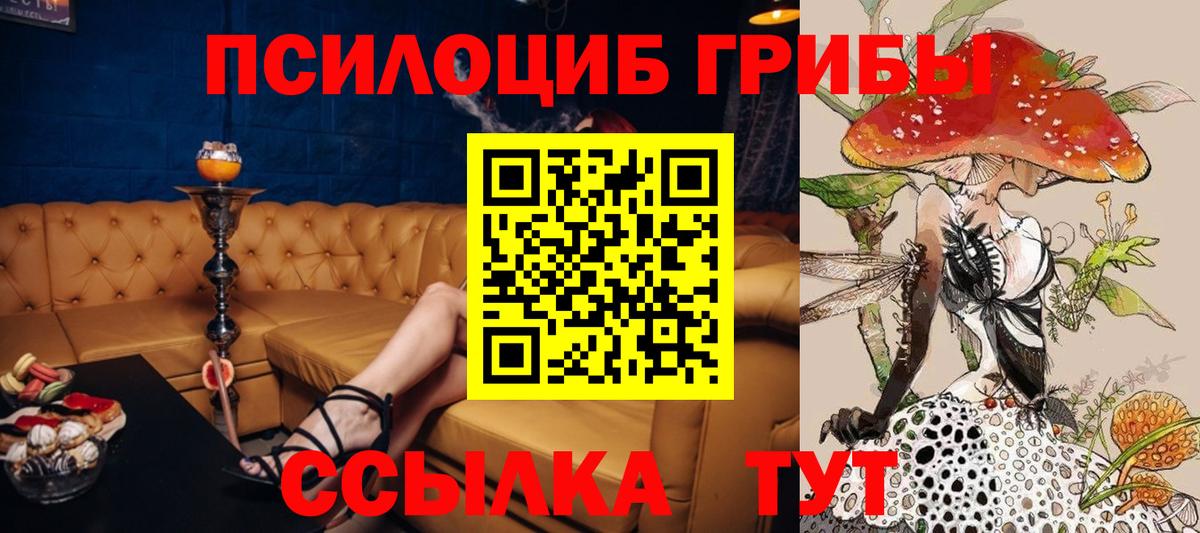 Псилоцибиновые грибы прущие грибы Нягань