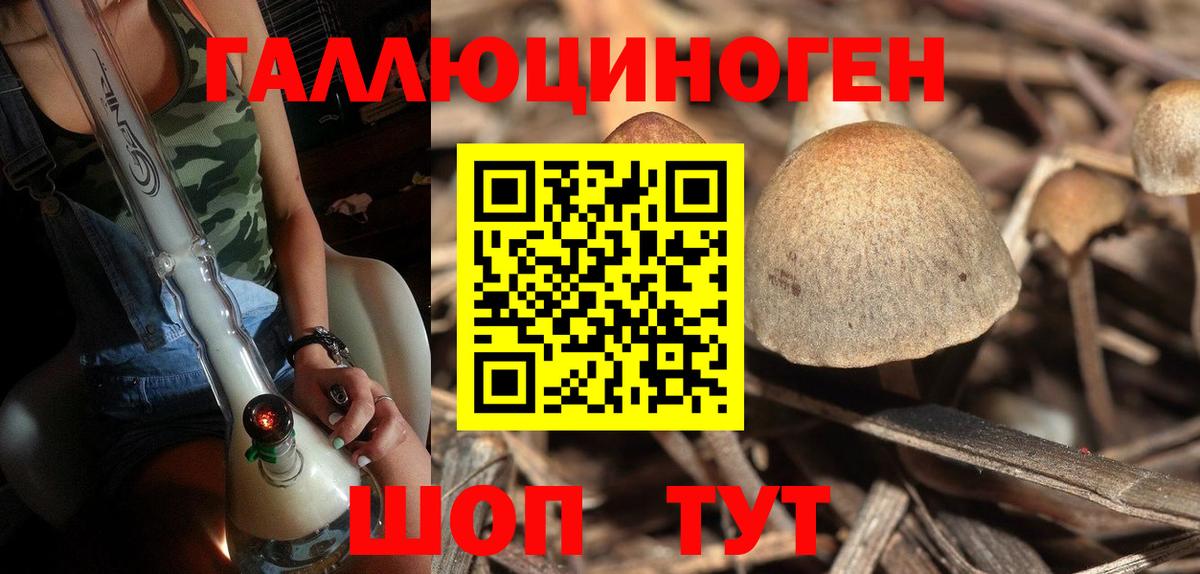 закладка  Галлюциногенные грибы Magic Shrooms  Вход с VPN  Псилоцибиновые грибы Psilocybine cubensis  Нягань 